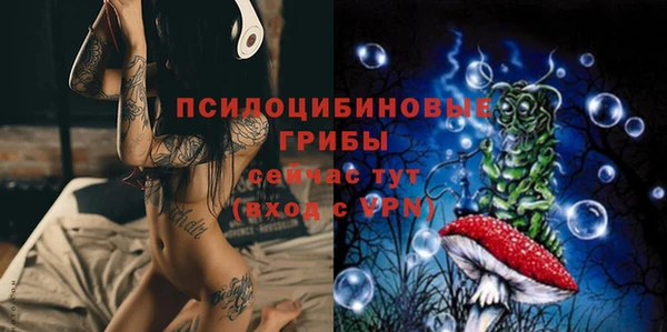 хмурый Алексеевка